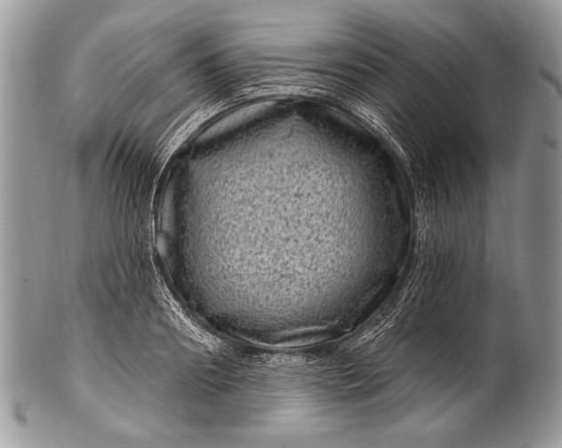 X0000100390890200806201711