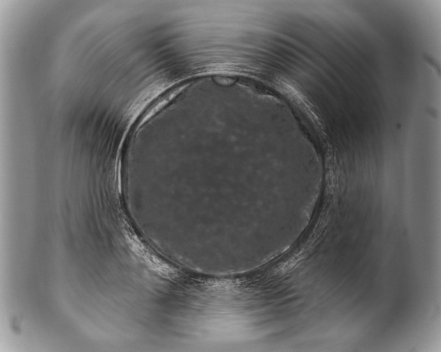 X0000100390892200806201711