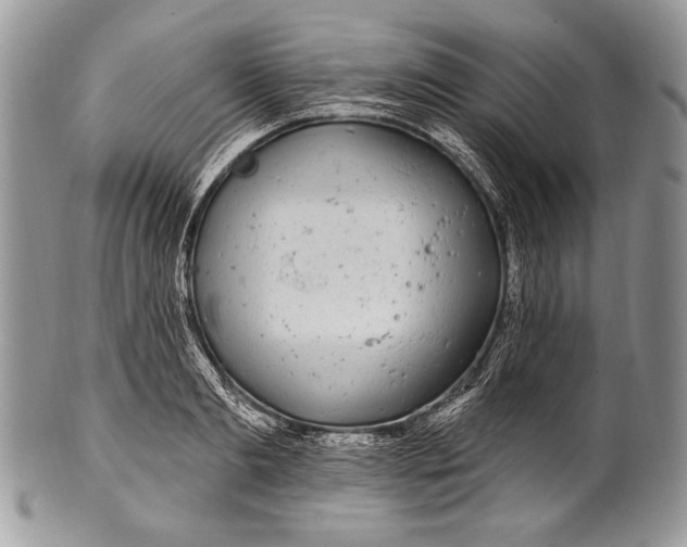 X0000100390893200806201711