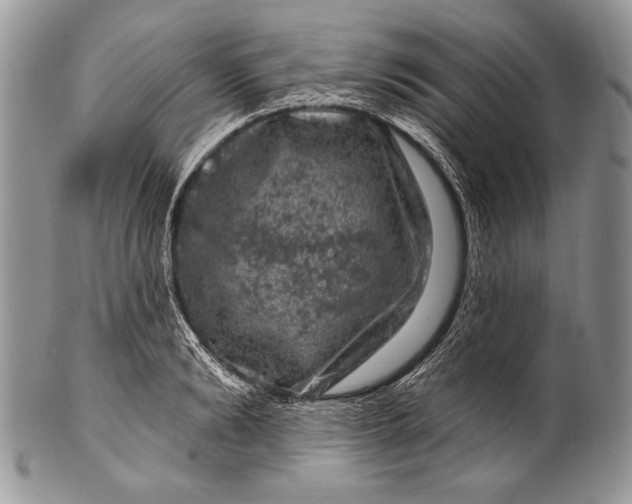 X0000100390894200806201711