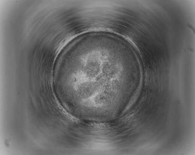 X0000100390895200806201711