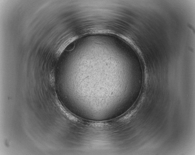 X0000100390897200806201711