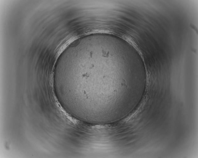 X0000100390898200806201711