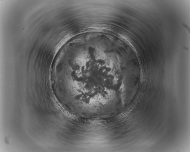 X0000100390899200806201711