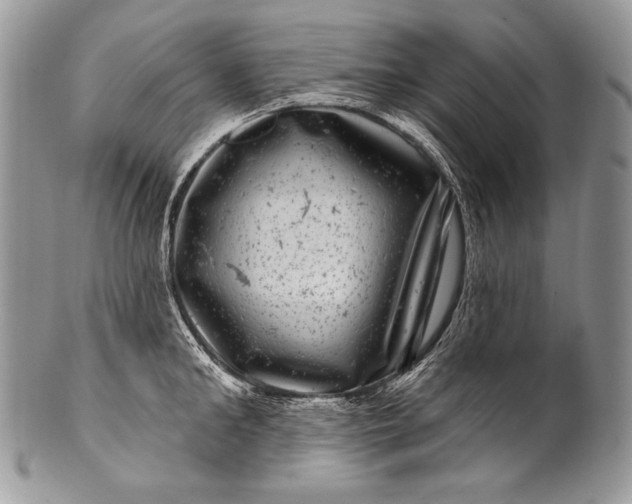 X0000100390902200806201711