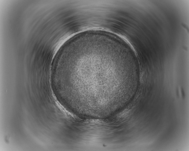 X0000100390903200806201711