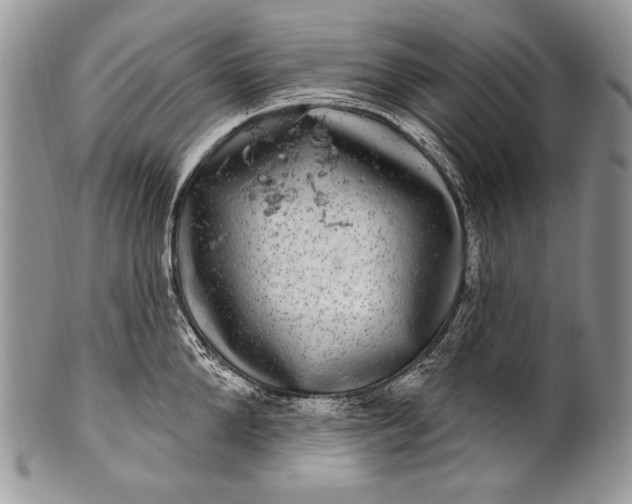 X0000100390904200806201711