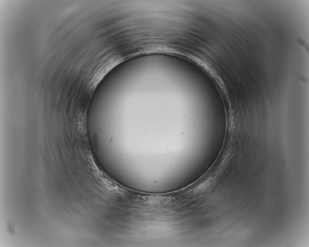 X0000100390905200806201711