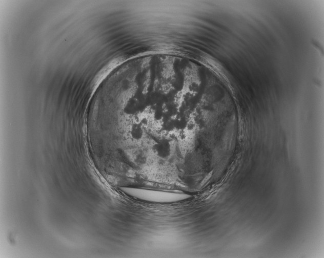 X0000100390907200806201711