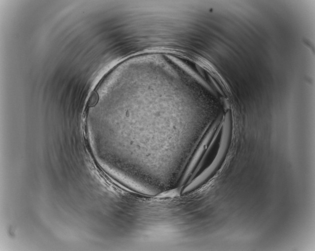 X0000100390908200806201711