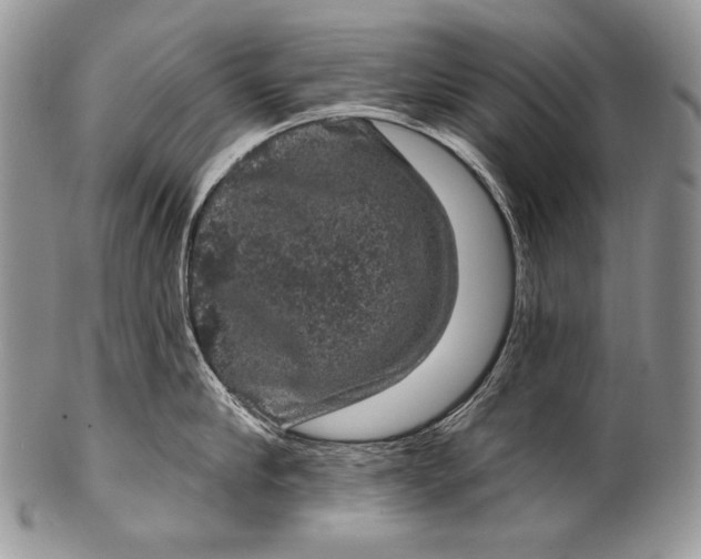 X0000100390910200806201711