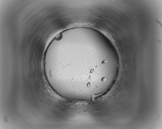 X0000100390912200806201711