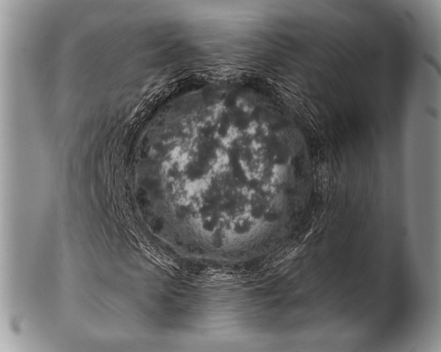 X0000100390913200806201710