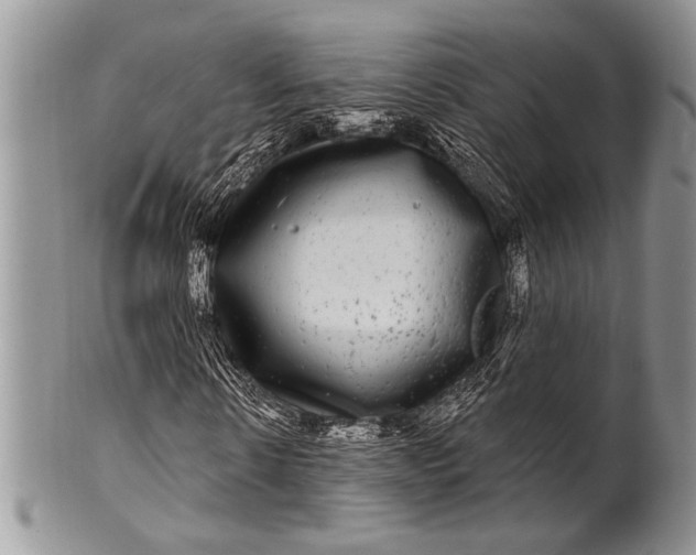 X0000100390914200806201710