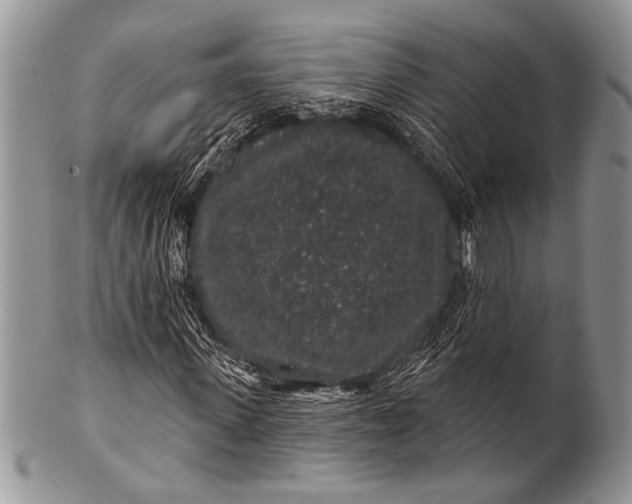 X0000100390915200806201710