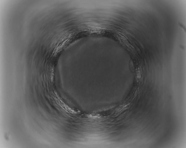 X0000100390916200806201710