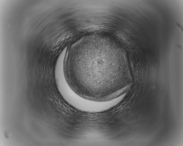 X0000100390917200806201710