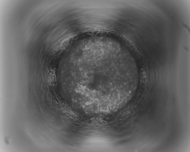 X0000100390918200806201710