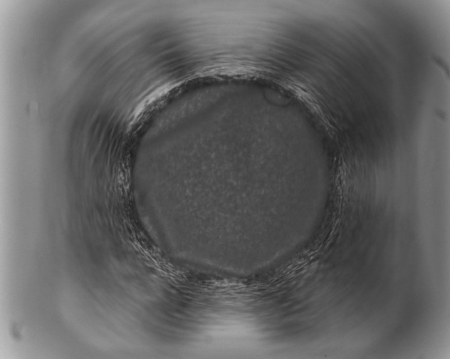 X0000100390920200806201710