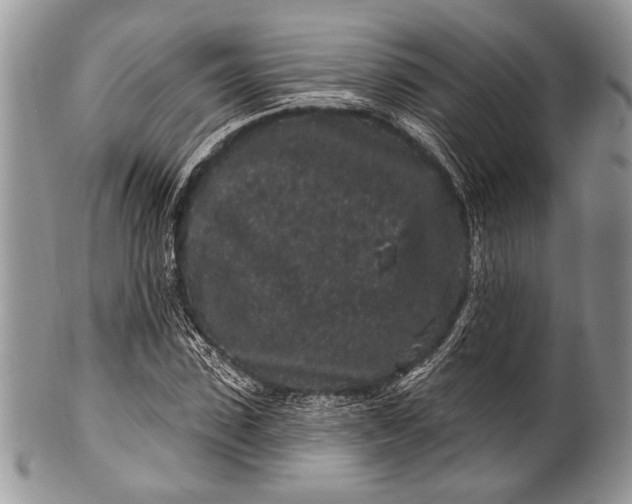 X0000100390923200806201710