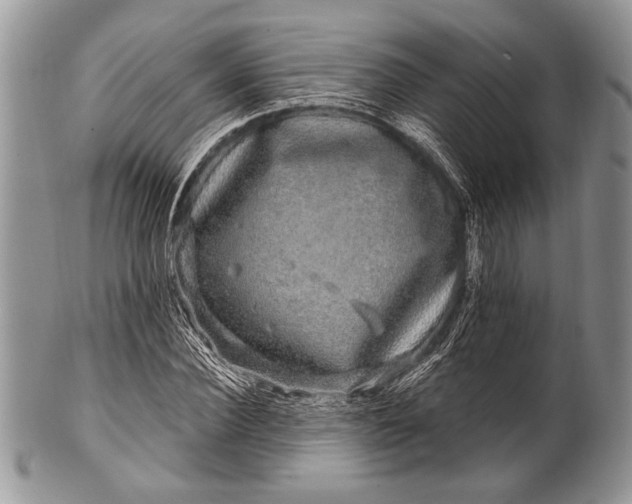 X0000100390924200806201710