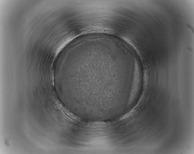 X0000100390925200806201710