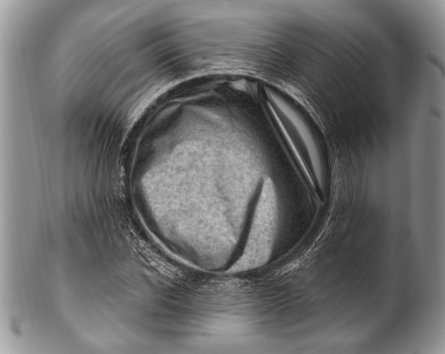 X0000100390926200806201710