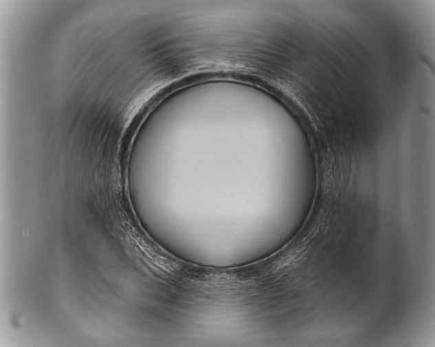 X0000100390927200806201710