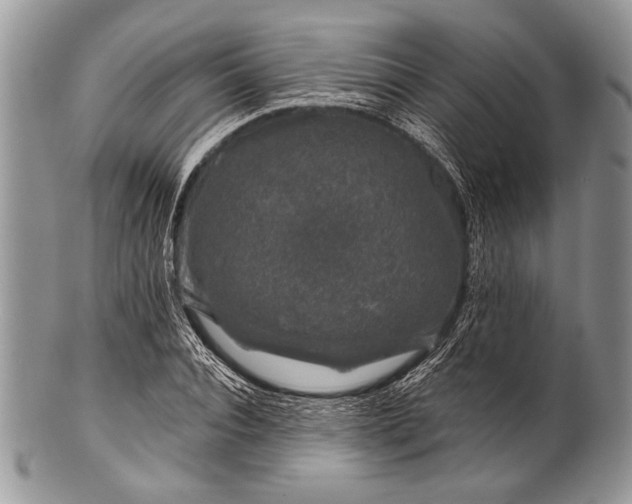 X0000100390928200806201710