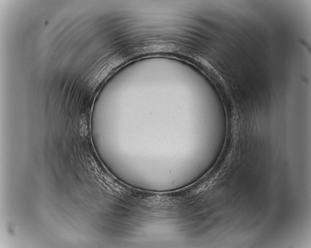 X0000100390929200806201710