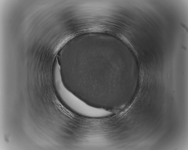 X0000100390930200806201710