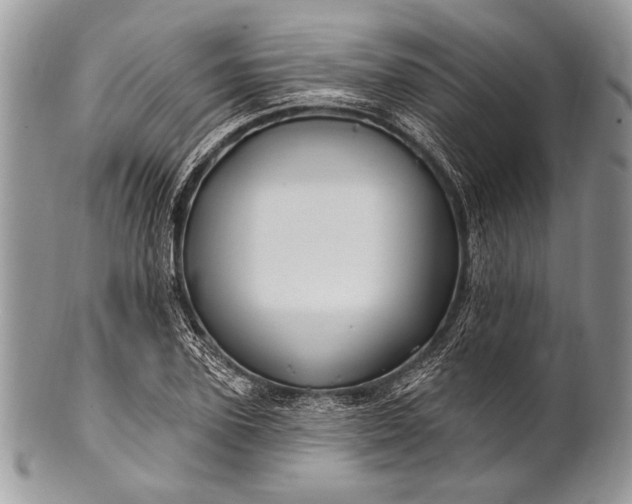 X0000100390931200806201710