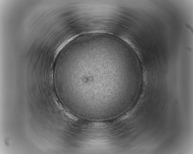 X0000100390933200806201710