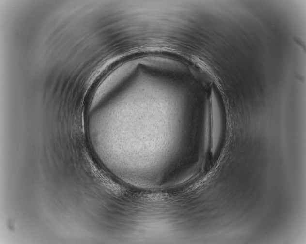 X0000100390934200806201710