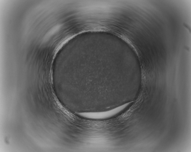 X0000100390935200806201710