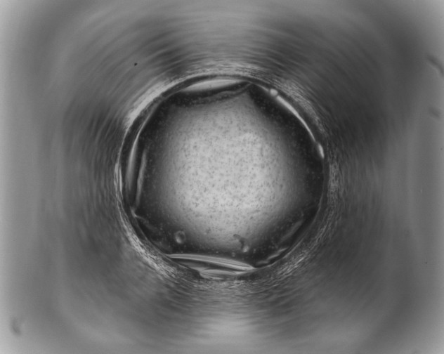 X0000100390936200806201710