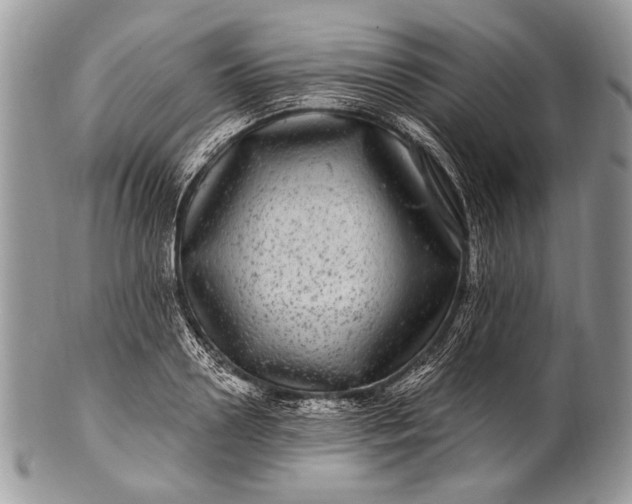 X0000100390938200806201710