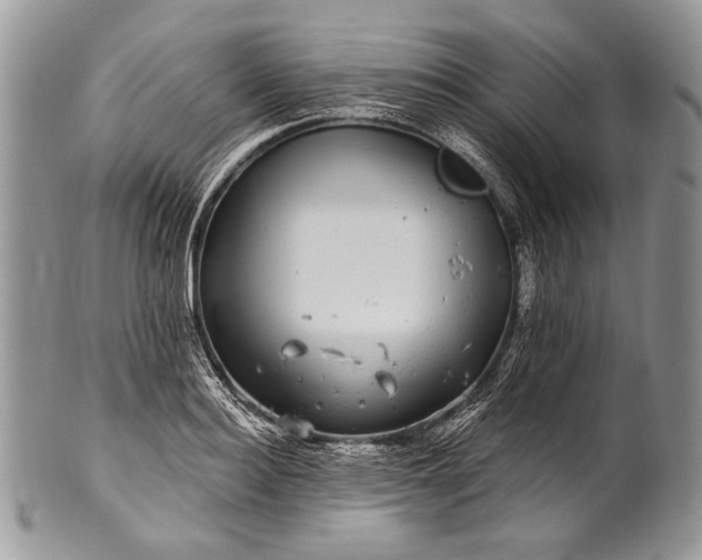 X0000100390940200806201710