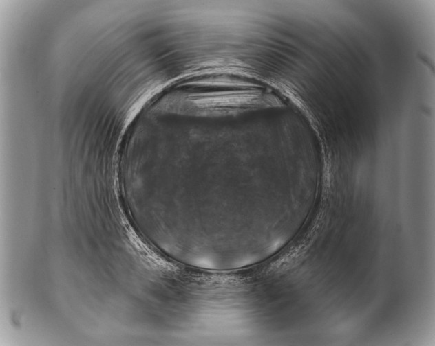 X0000100390941200806201710