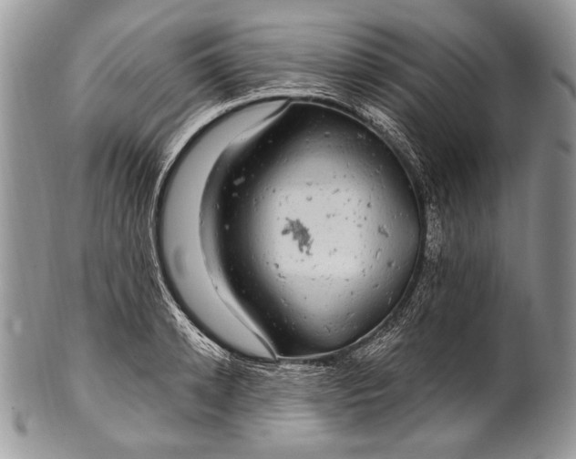 X0000100390942200806201710