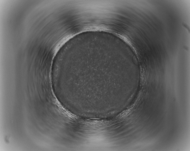 X0000100390943200806201710