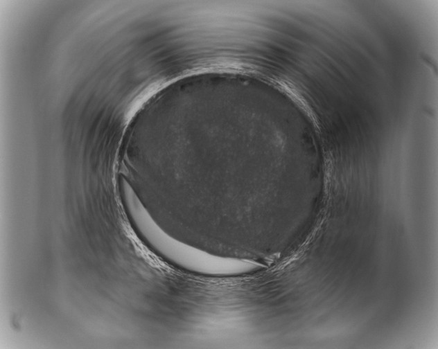 X0000100390944200806201710