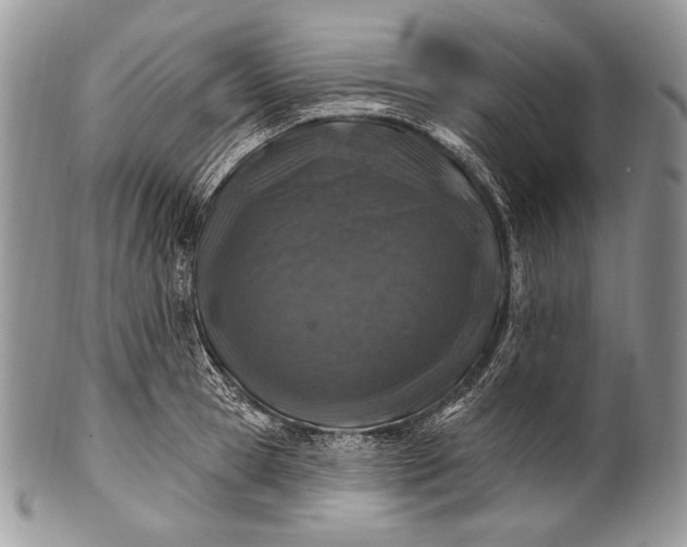 X0000100390945200806201710