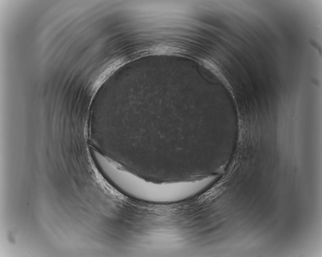 X0000100390946200806201711