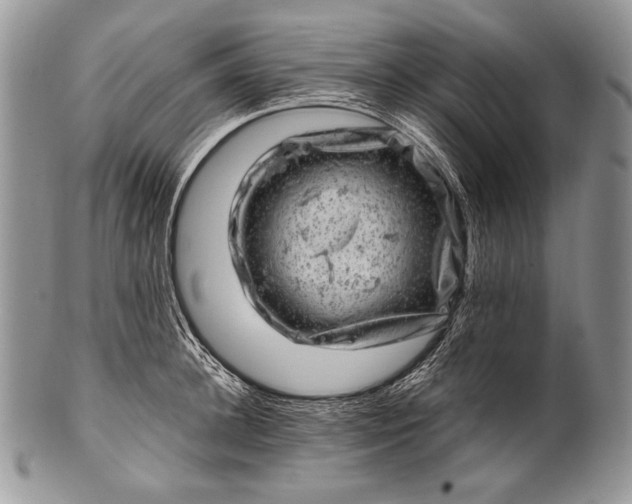 X0000100390948200806201711