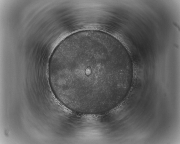 X0000100390950200806201711