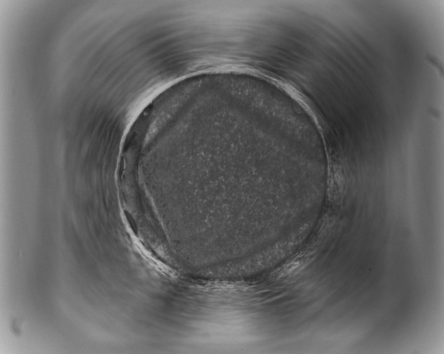 X0000100390951200806201711