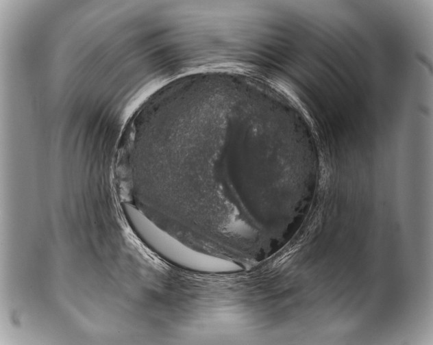 X0000100390952200806201711