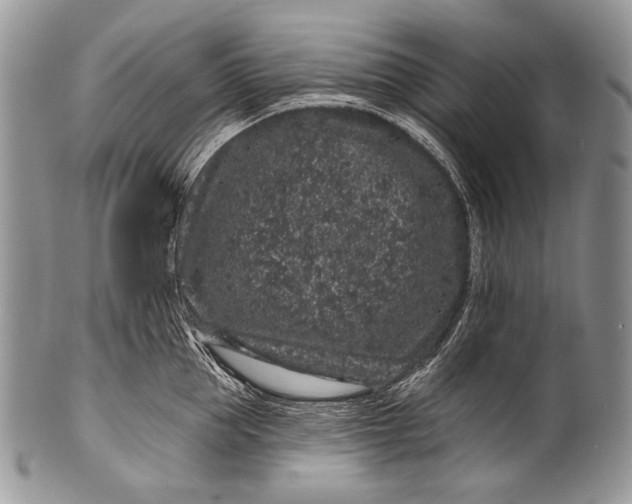 X0000100390953200806201711