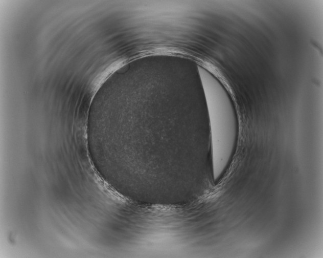 X0000100390954200806201711